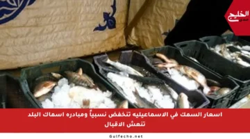 أسعار السمك في الإسماعيلية تنخفض نسبياً ومبادرة أسماك البلد تنعش الإقبال